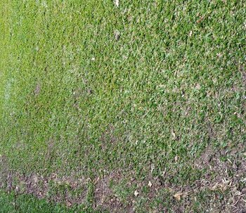 TÉCNICAS DE INSTALACIÓN QUE CUIDAN TU JARDÍN