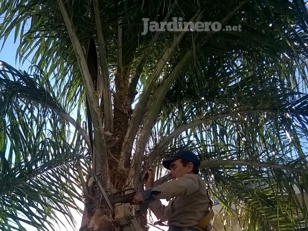 Jardín del Cielo